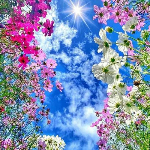 داوود یونسی و فرزاد شمشیری منو تنهاییا شبهای پر درد و ترس